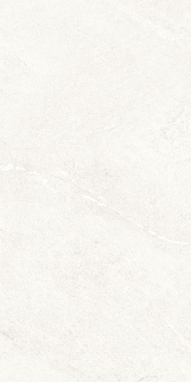 Dhara White Matte 12 x 24